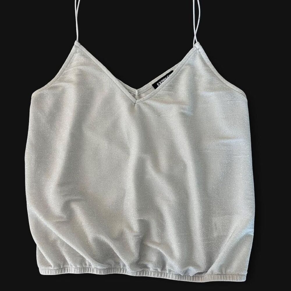 Express Women's Silver and Gold Crop-top